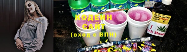 крисы Елабуга