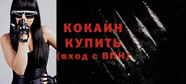 кокс Ельня