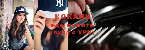 крисы Елабуга