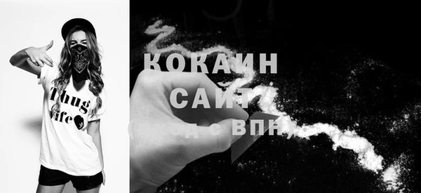 крисы Елабуга