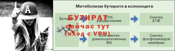 крисы Елабуга