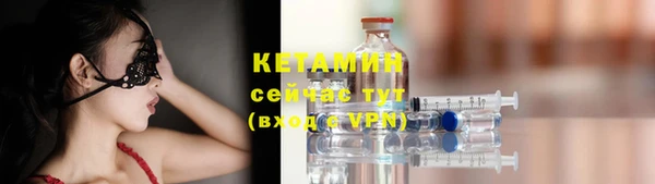 крисы Елабуга