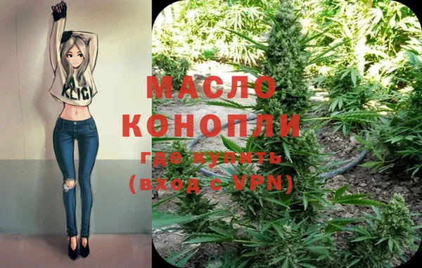 крисы Елабуга