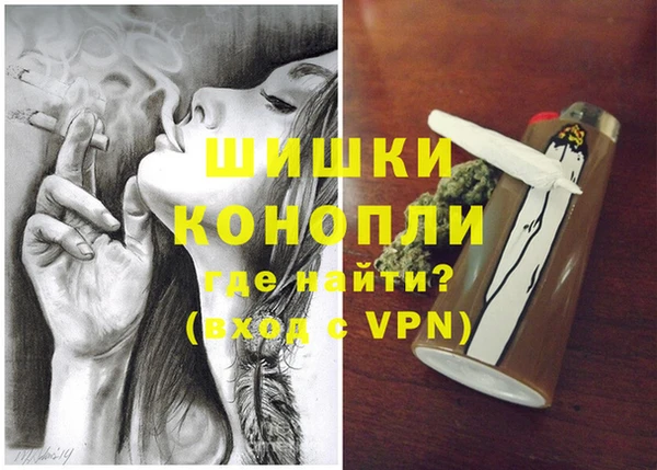 крисы Елабуга