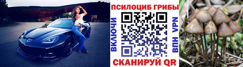 Псилоцибиновые грибы GOLDEN TEACHER  Купить закладки  Курчатов 